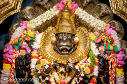 Daily Darshan