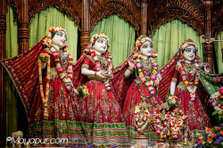 Daily Darshan