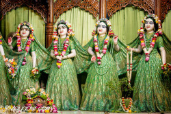 Daily Darshan