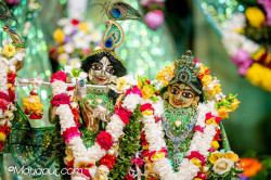 Daily Darshan