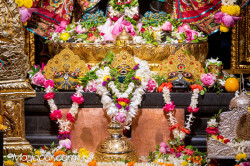 Daily Darshan