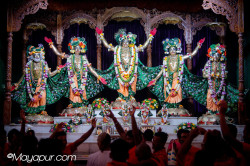 Daily Darshan
