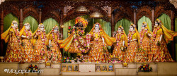 Daily Darshan
