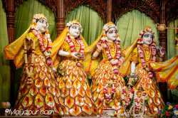 Daily Darshan