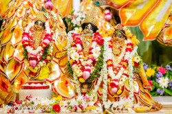 Daily Darshan