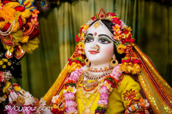 Daily Darshan