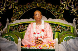 Daily Darshan