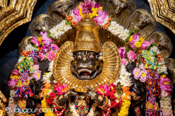 Daily Darshan