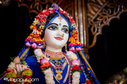 Daily Darshan