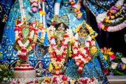 Daily Darshan