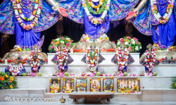 Daily Darshan