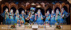 Daily Darshan