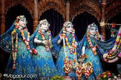 Daily Darshan
