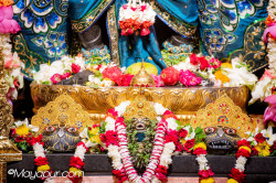 Daily Darshan