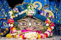 Daily Darshan