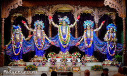 Daily Darshan