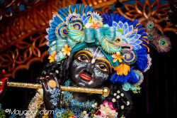 Daily Darshan