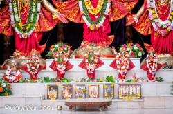 Daily Darshan