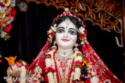 Daily Darshan