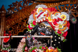 Daily Darshan