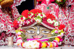 Daily Darshan