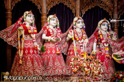 Daily Darshan