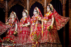 Daily Darshan