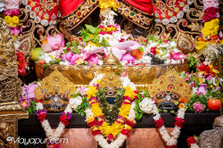 Daily Darshan