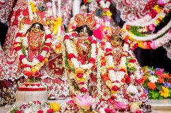 Daily Darshan