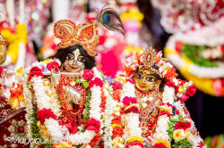 Daily Darshan