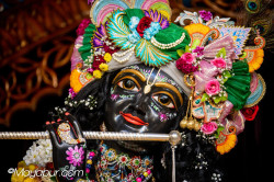Daily Darshan