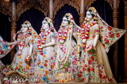 Daily Darshan