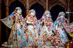 Daily Darshan