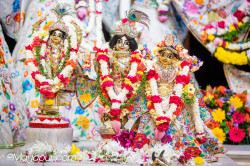 Daily Darshan