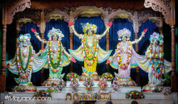 Daily Darshan