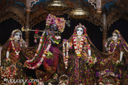 Daily Darshan
