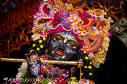 Daily Darshan