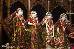 Daily Darshan