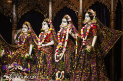 Daily Darshan