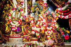 Daily Darshan