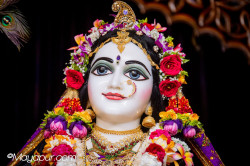 Daily Darshan