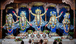 Daily Darshan