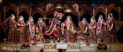 Daily Darshan
