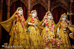 Daily Darshan