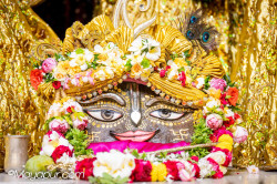 Daily Darshan