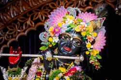 Daily Darshan