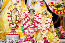 Daily Darshan