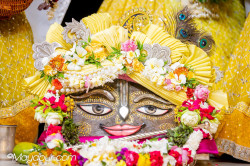 Daily Darshan