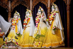 Daily Darshan