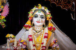 Daily Darshan